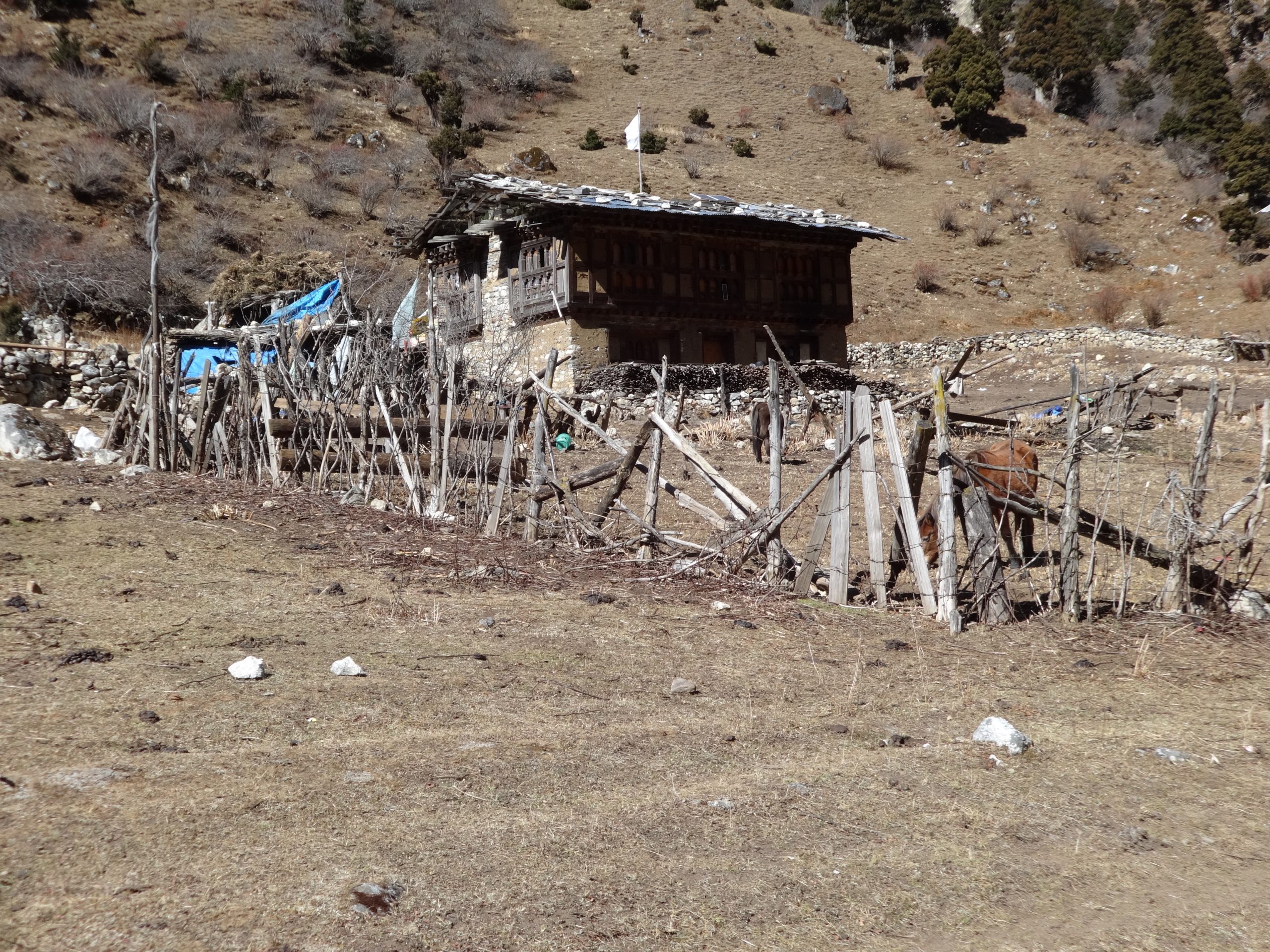 Laya trek 2