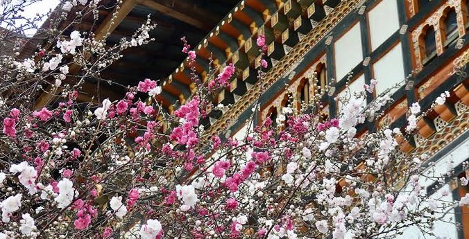 images-12